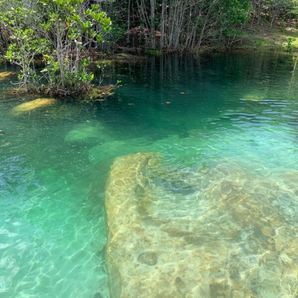 Lagoa cristalina