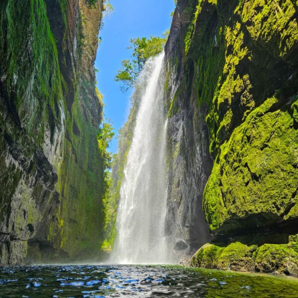 WhatsApp Image 2025-08-16 at 17.13.51